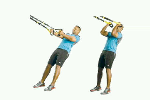 The Top 10 Biceps & Triceps Exercises