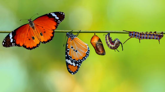 Word of God transforms
